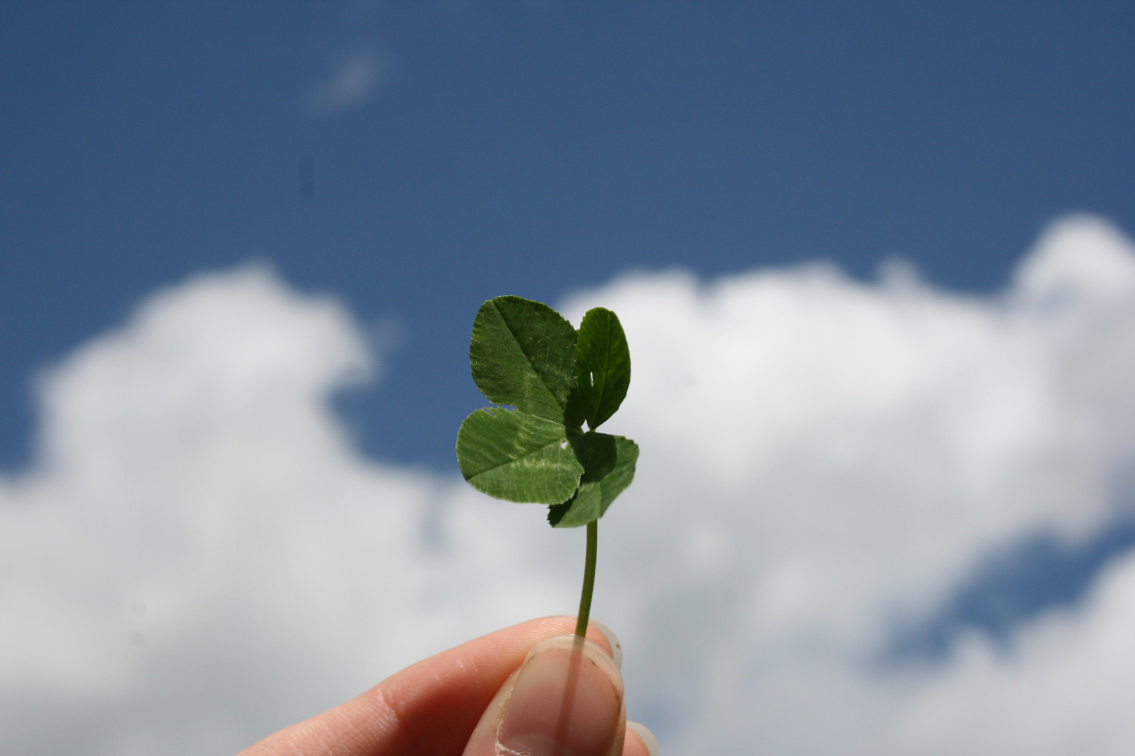 When luck is not enough